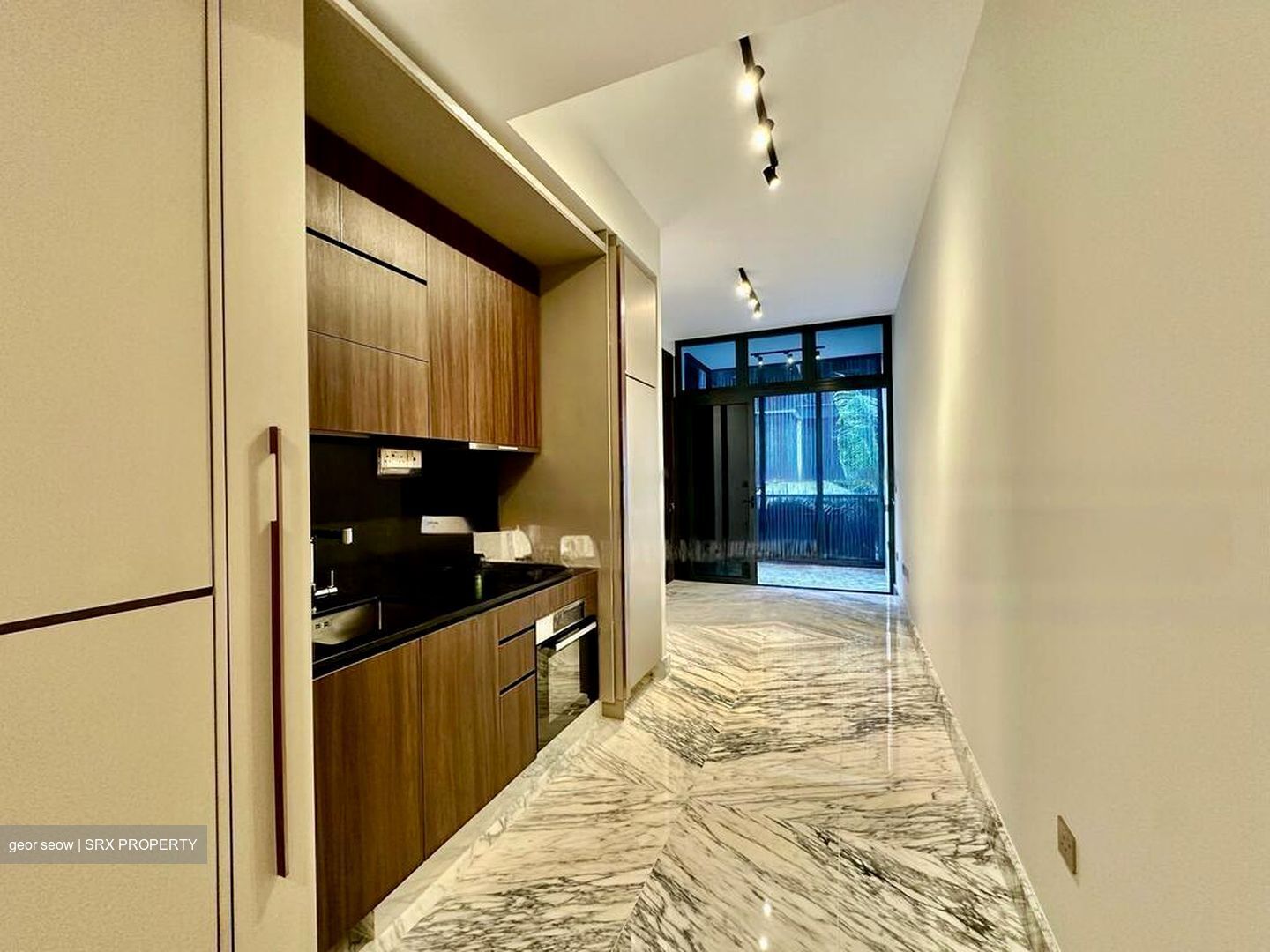 Van Holland (D10), Condominium #564730921